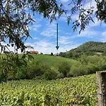 Hegyoldal Vendeghaz Prázdninový dům