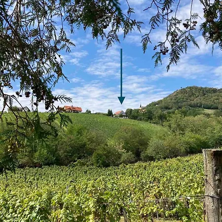 Hegyoldal Vendeghaz Дом отдыха