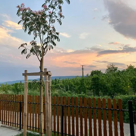 Hegyoldal Vendeghaz Дом отдыха Hegymagas