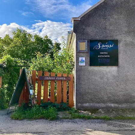 Hegyoldal Vendeghaz Дом отдыха *