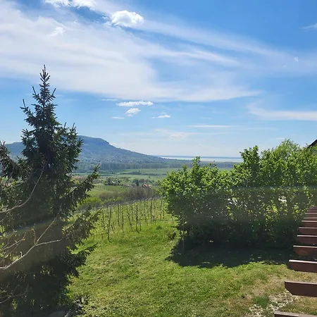 Holiday home Hegyoldal Vendeghaz