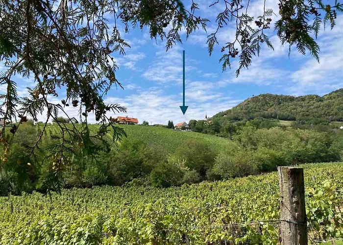 Hegyoldal Vendeghaz Dom wakacyjny