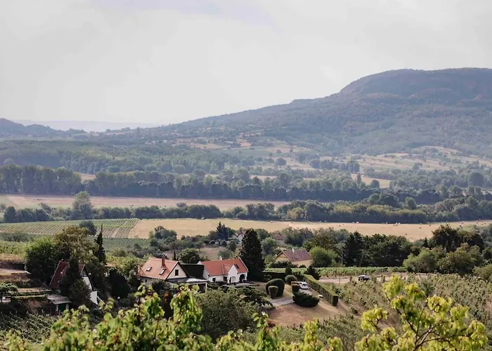 Hegyoldal Vendeghaz Dom wakacyjny *