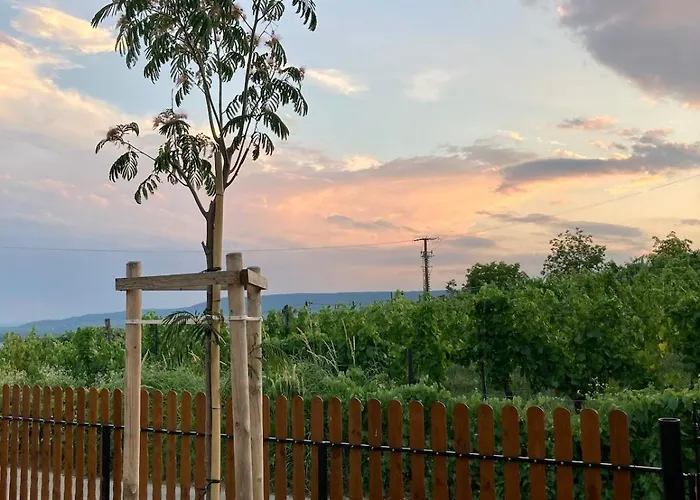 Hegyoldal Vendeghaz Dom wakacyjny Hegymagas