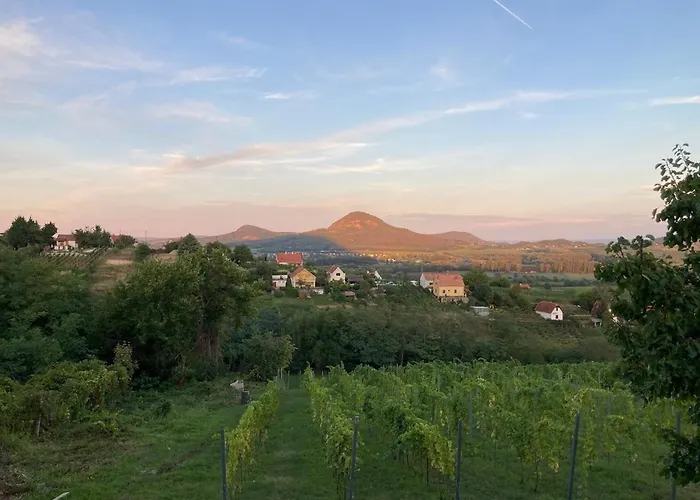 Hegyoldal Vendeghaz Hegymagas